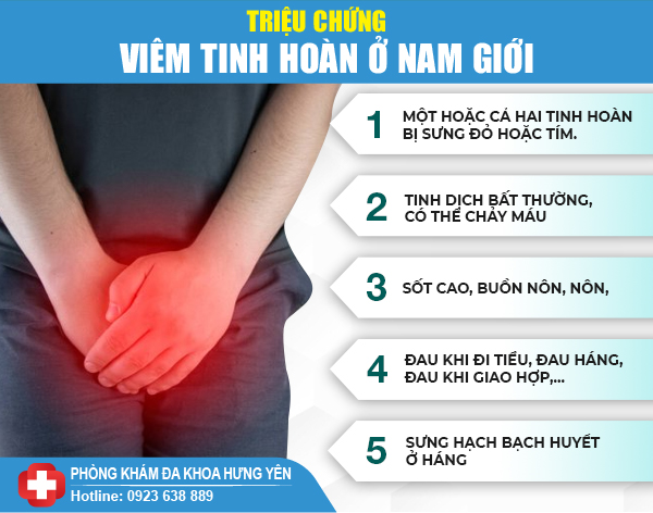 triệu chứng gây viêm tinh hoàn - chữa bệnh viêm tinh hoàn ở hưng yên