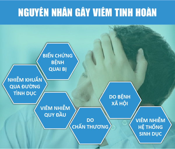 nguyên nhân gây viêm tinh hoàn - chữa bệnh viêm tinh hoàn ở hưng yên