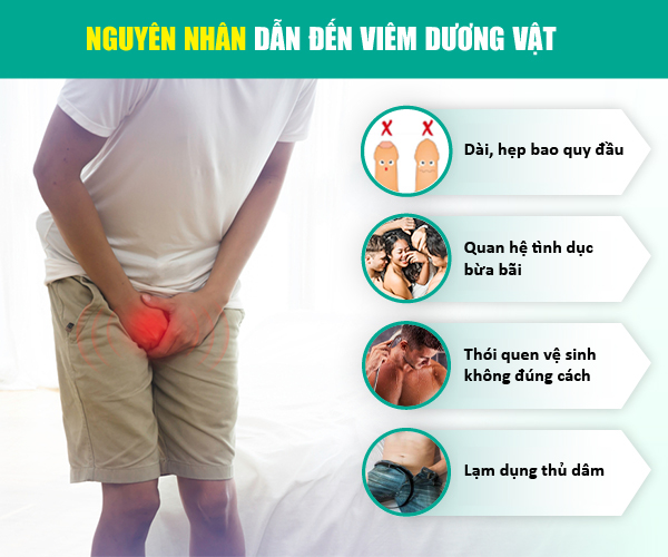 nguyên nhân gây bệnh viêm quy đầu