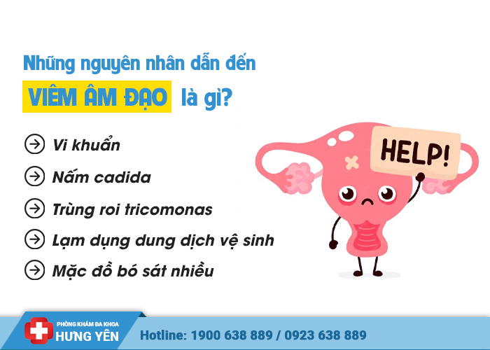 lý do bị viêm âm đạo là gì